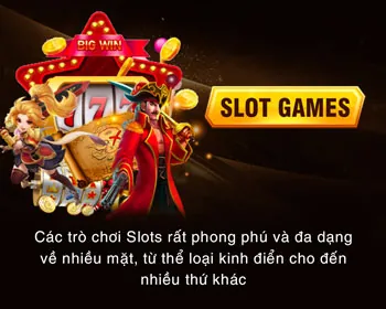 Các chương trình khuyến mãi và ưu đãi hấp dẫn tại llwin